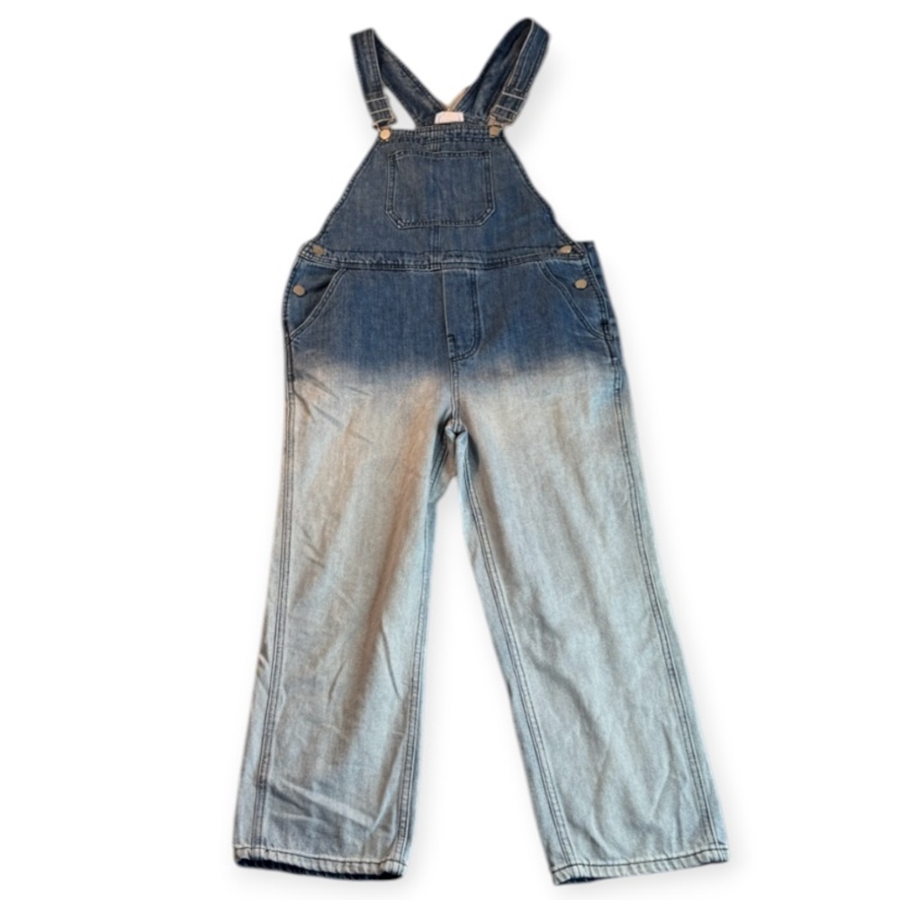 NWT Storia Rosebud Overalls Ombre Denim Blue Size Small - Picture 4 of 14